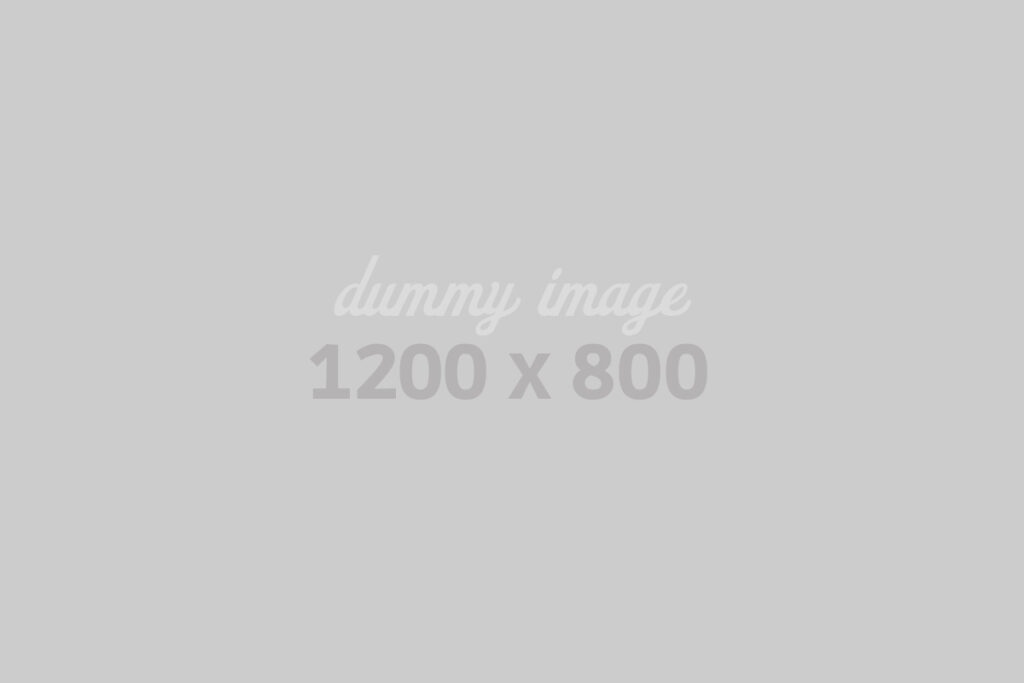 dummy1200800